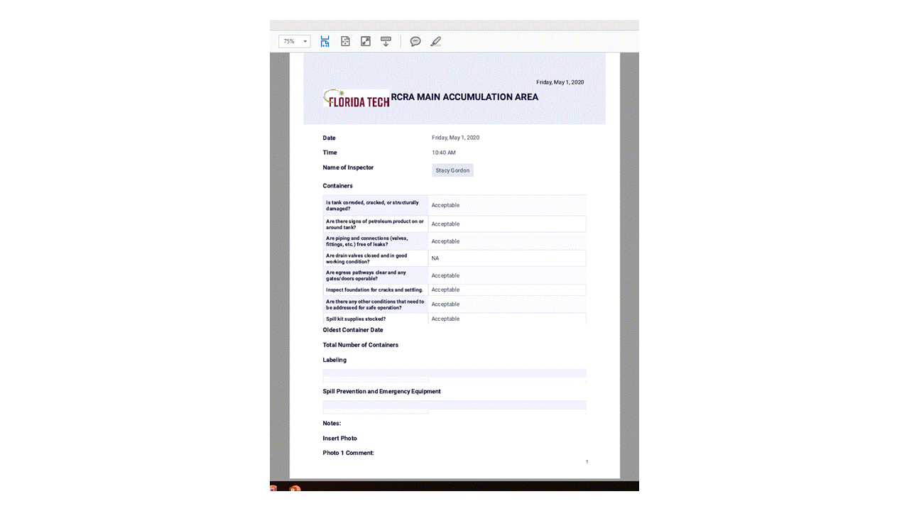 PDF Form not displaying correctly